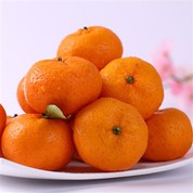 Dydis 50-55 Fresh Nanfeng Orange
